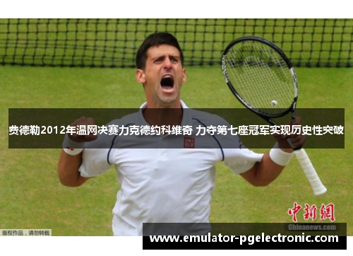 费德勒2012年温网决赛力克德约科维奇 力夺第七座冠军实现历史性突破 费德勒2012年温网决赛力克德约科维奇 力夺第七座冠军实现历史性突破