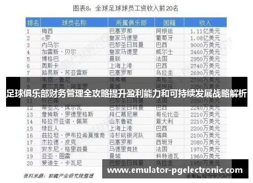 足球俱乐部财务管理全攻略提升盈利能力和可持续发展战略解析 足球俱乐部财务管理全攻略提升盈利能力和可持续发展战略解析