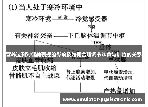 营养过剩对健美表现的影响及如何合理调节饮食与训练的关系