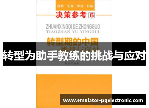 转型为助手教练的挑战与应对