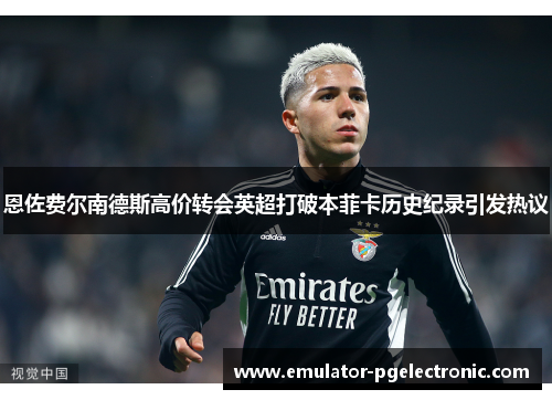 恩佐费尔南德斯高价转会英超打破本菲卡历史纪录引发热议