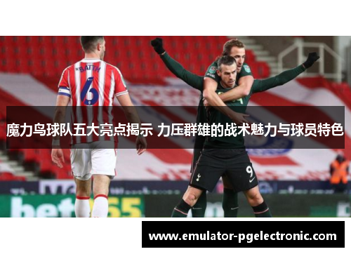魔力鸟球队五大亮点揭示 力压群雄的战术魅力与球员特色