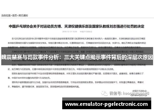 魏震禁赛与罚款事件分析：三大关键点揭示事件背后的深层次原因