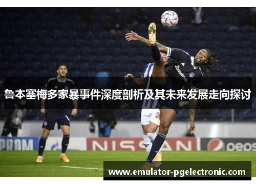 鲁本塞梅多家暴事件深度剖析及其未来发展走向探讨