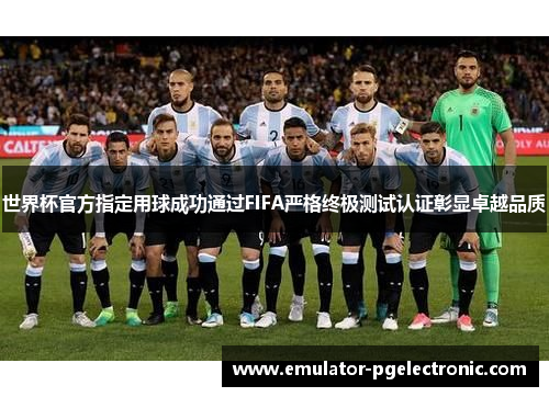 世界杯官方指定用球成功通过FIFA严格终极测试认证彰显卓越品质