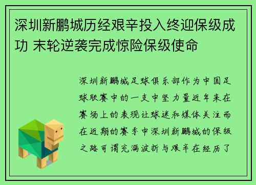 深圳新鹏城历经艰辛投入终迎保级成功 末轮逆袭完成惊险保级使命